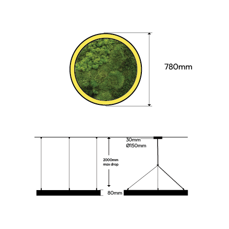 Circa Moss Biophilic LED Ring Light image 8
