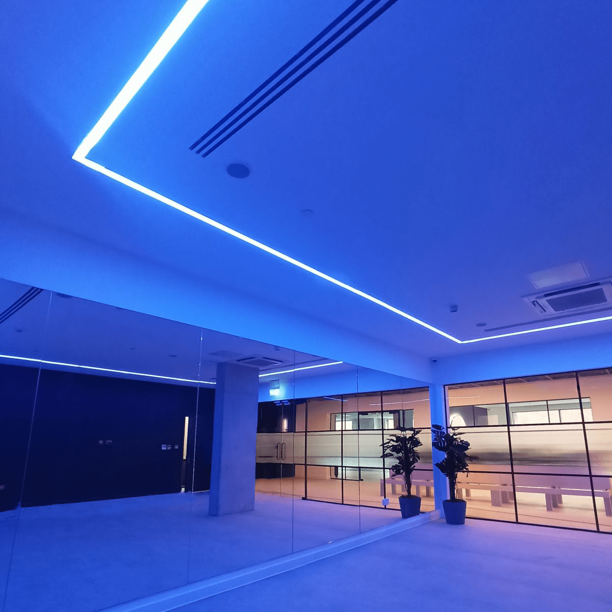 PROLine Linear LED Light Opal Recessed in White | Black image 3