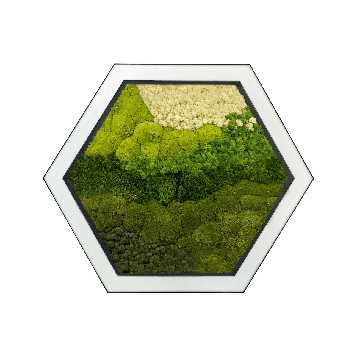Hexa Moss Biophilic LED Hexagonal Light image 1