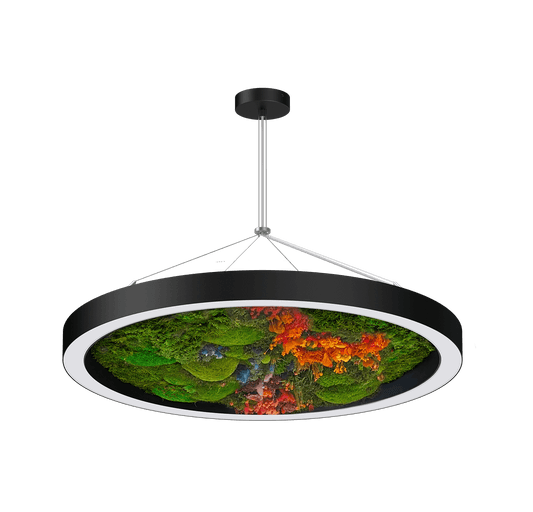 Circa Moss Biophilic LED Ring Light image 1