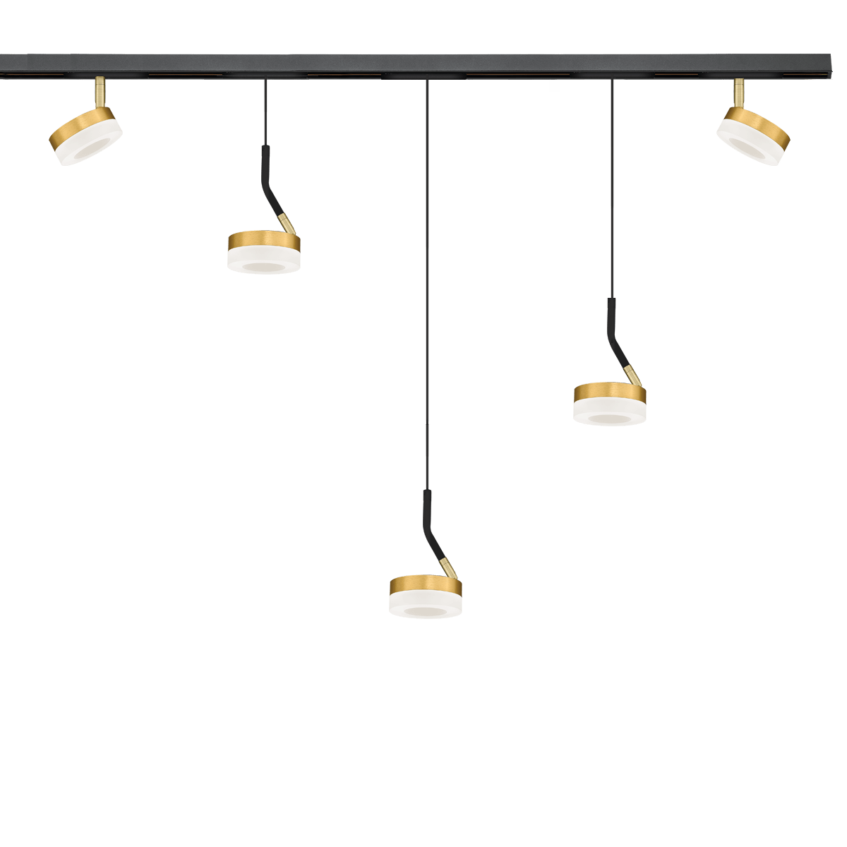 Decorative Gold Track Ring Lights - 48V Track System image 0