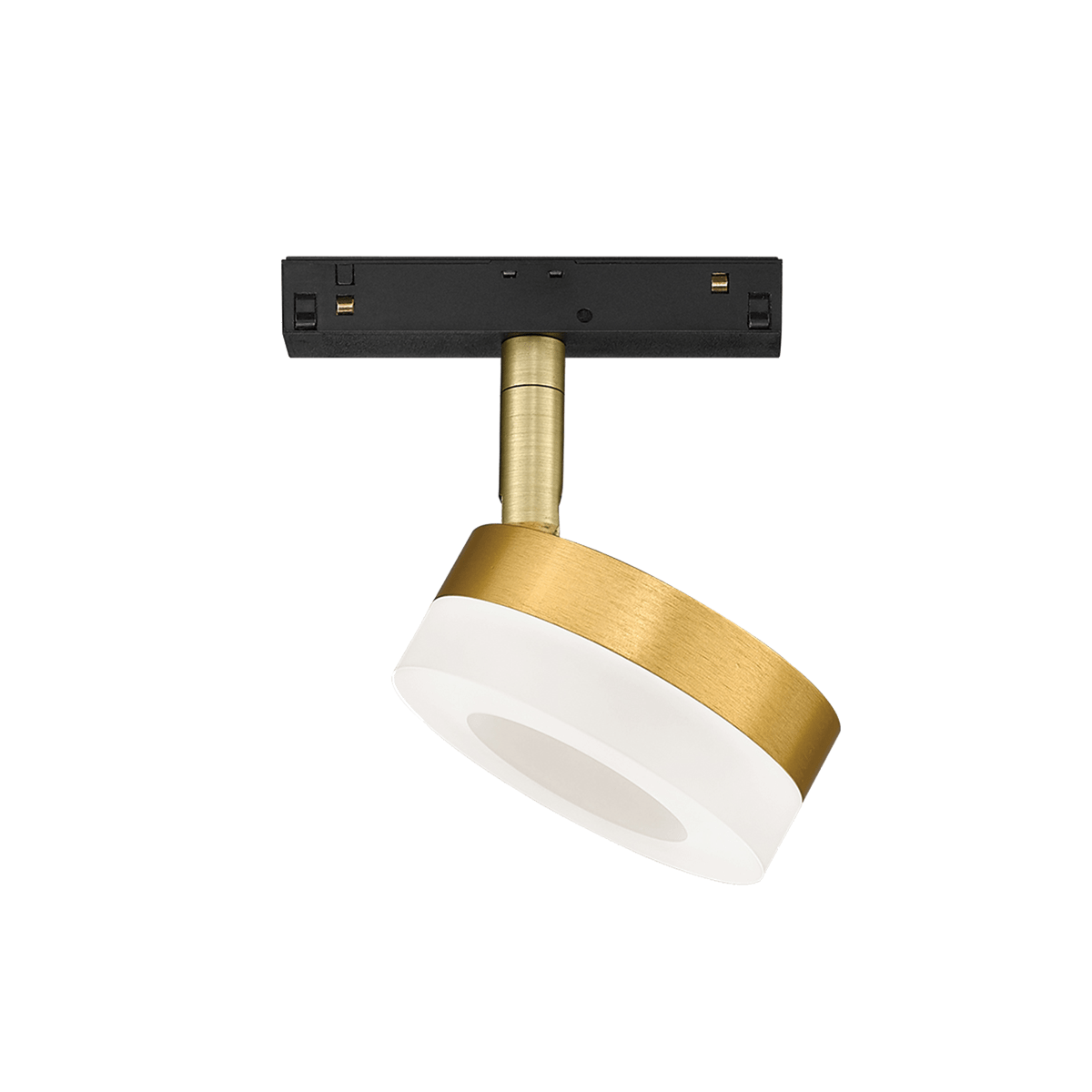 Decorative Gold Track Ring Lights - 48V Track System image 1