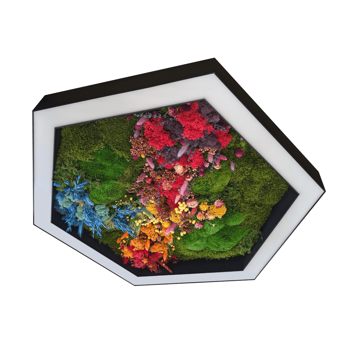 Hexa Moss Biophilic LED Hexagonal Light image
