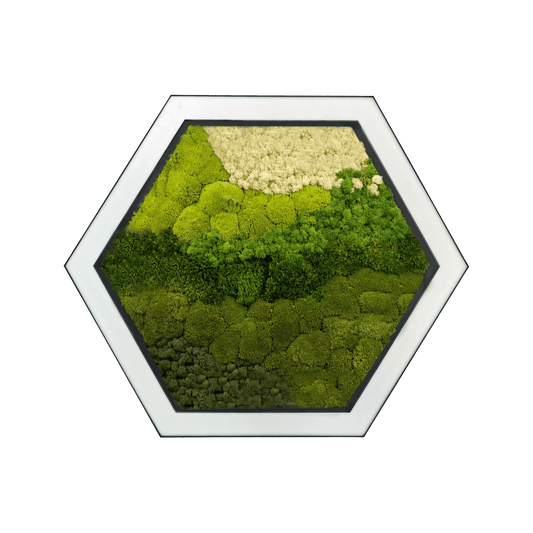 Hexa Moss Biophilic LED Hexagonal Light image 1