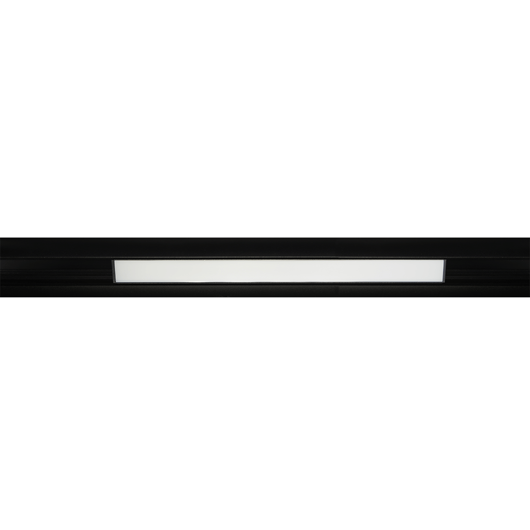 Zodiac linear track light with a black profile