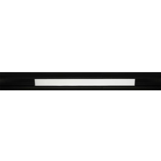 Zodiac linear track light with a black profile