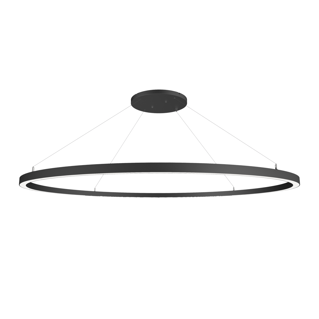 Black halo suspended led light fitting.