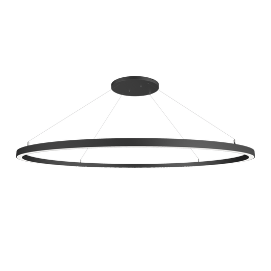 Black halo suspended led light fitting.