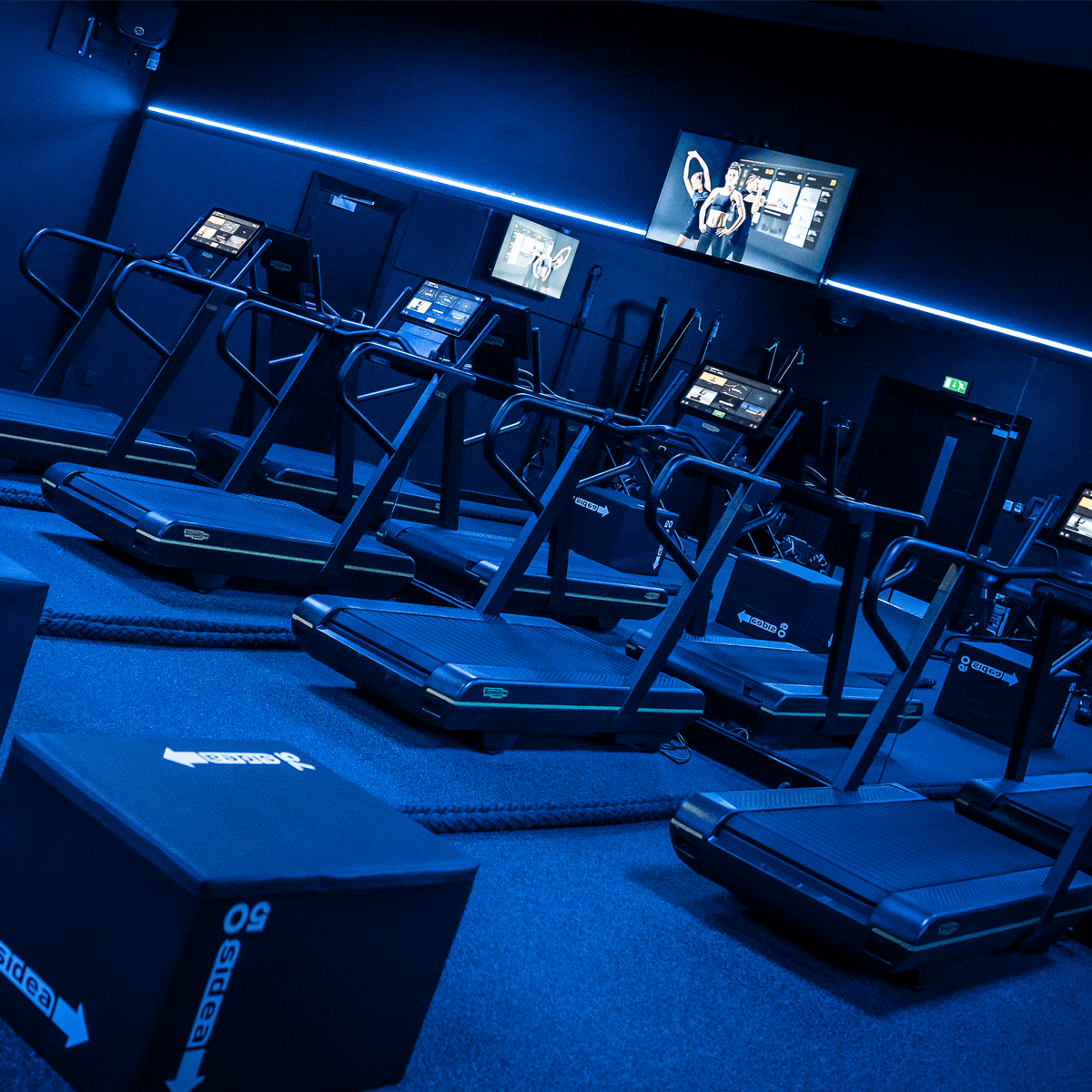 RGBW Linear LED Light in blue