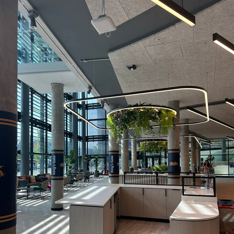 Led Rectangular And Rounded Lights Rounded Rectangular Light | Flow Black – Linear Lights