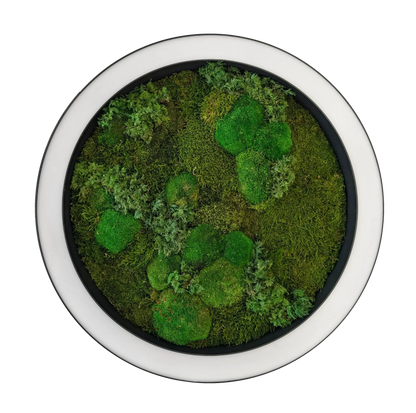 Close-up of biophilic moss LED ring light showing texture and lighting finish