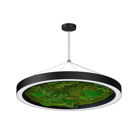 Circa moss biophilic LED ring light suspended pendant for commercial interiors