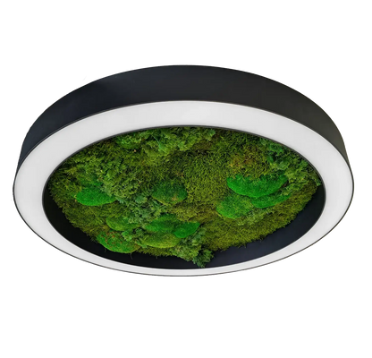 Moss Led Edge Galaxia Moss Biophilic LED Light | 3000K/4000K | Customisable – Linear ...