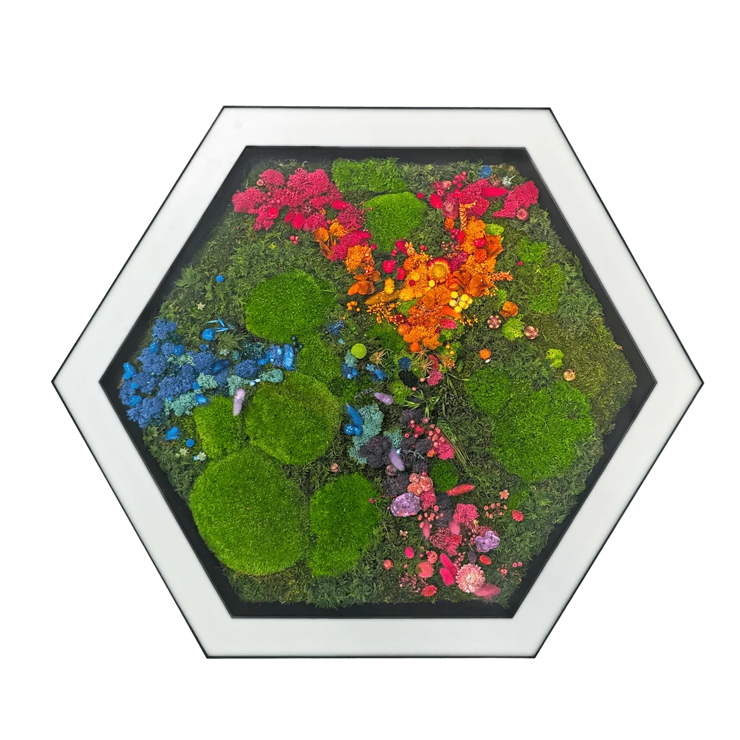 Detailed view of preserved floral green moss in Hexa biophilic LED light custom fixture