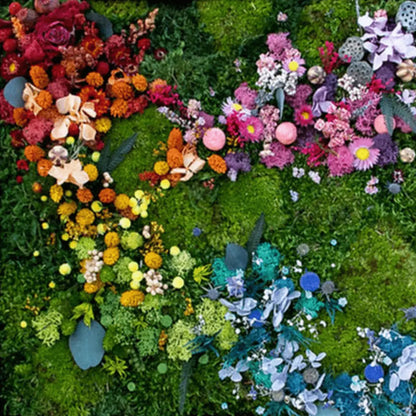 Close up of multicoloured floral moss lighting
