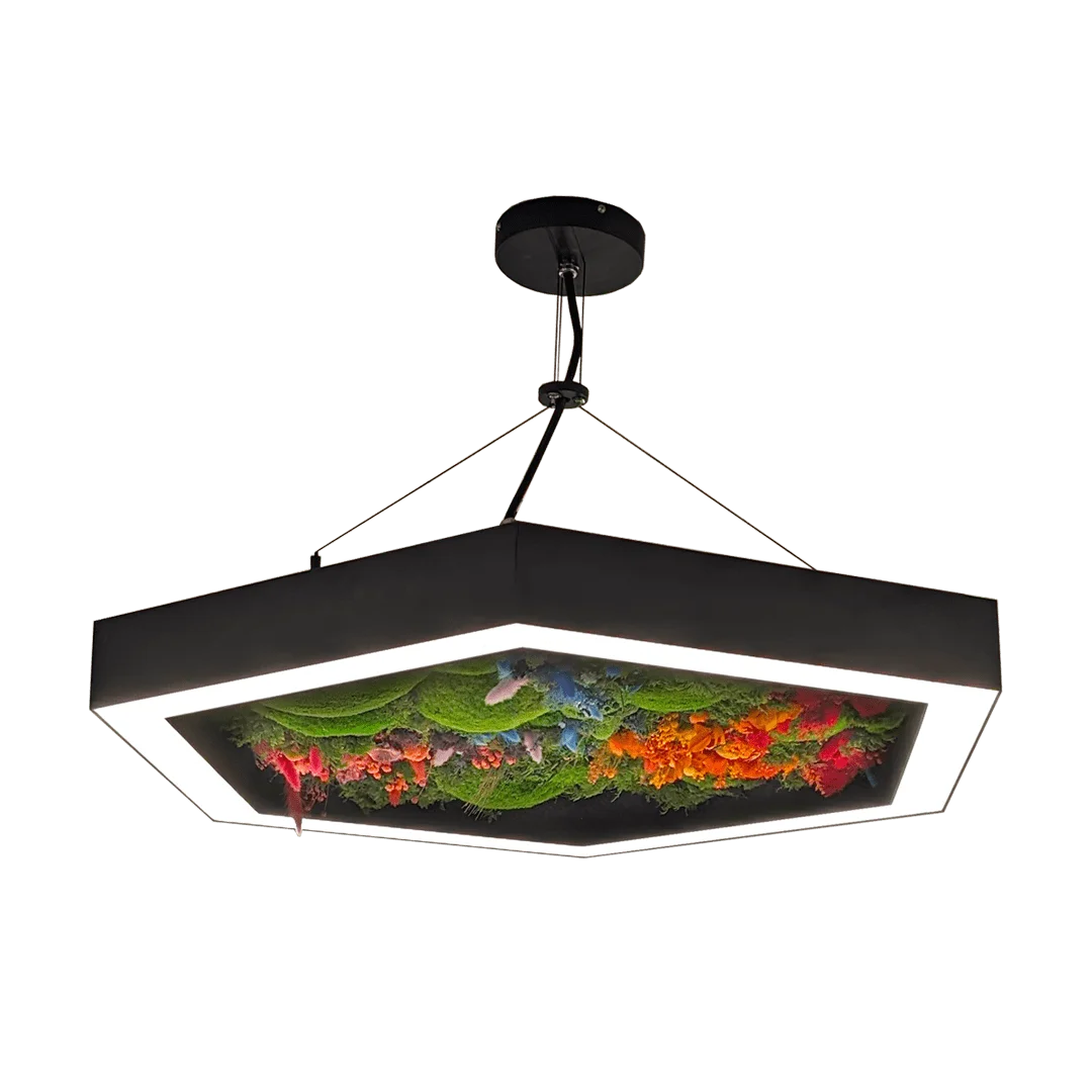 Hexagonal suspended biophilic LED pendant light with preserved moss for commercial interiors