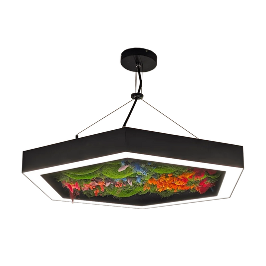 Hexagonal suspended biophilic LED pendant light with preserved moss for commercial interiors